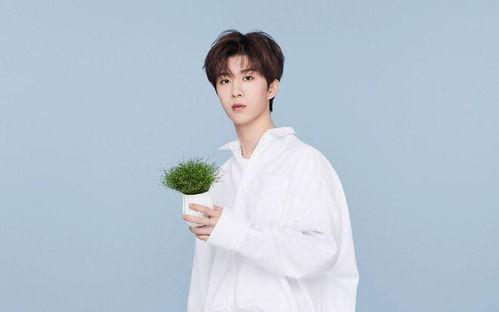 圈内人爆料贾玲范丞丞视频,娱乐圈再掀波澜  第2张